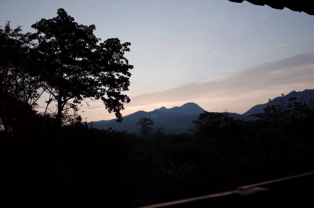 26604E3A553C5CBA2A6A59