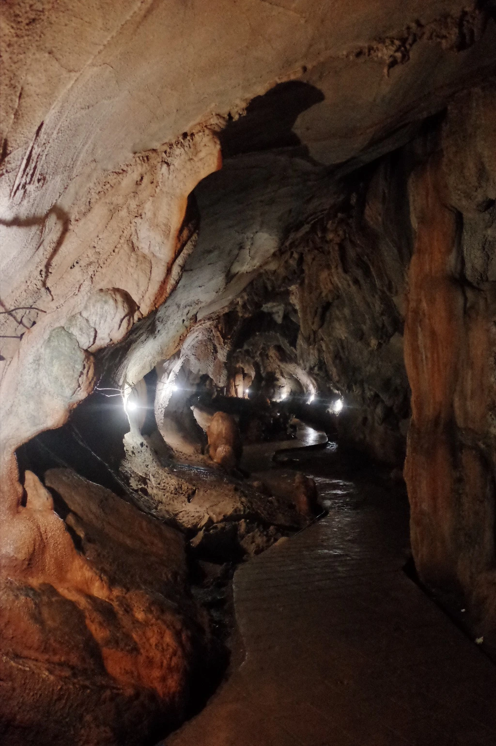 2412463C5565D57422AB2D