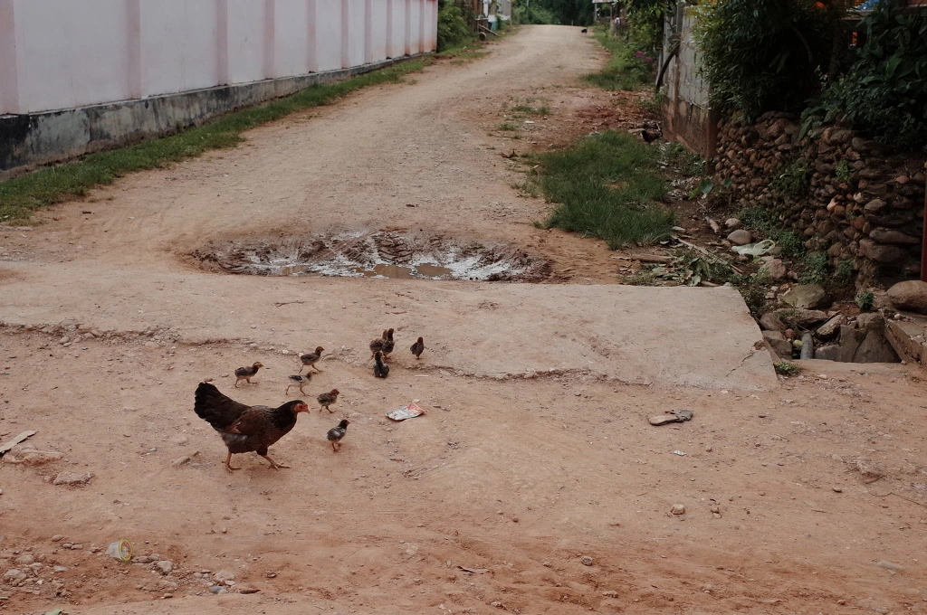 260F4C3A556C738E10745B