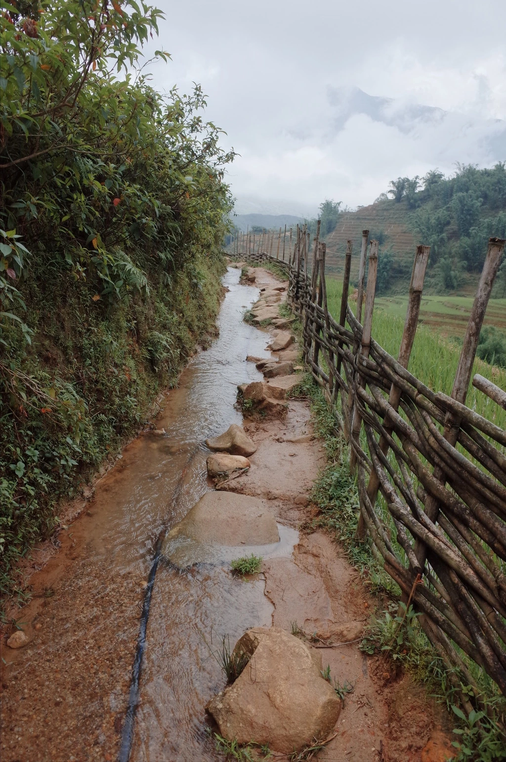 23318E3C557465AD06E9BC