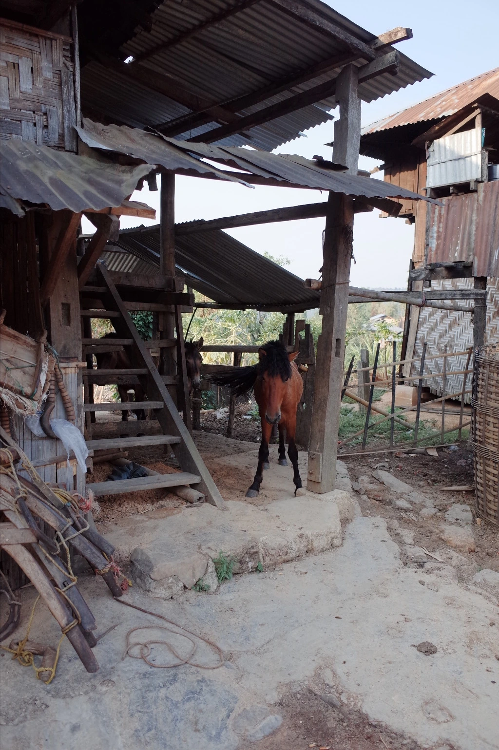 27069834556BD30E23A635