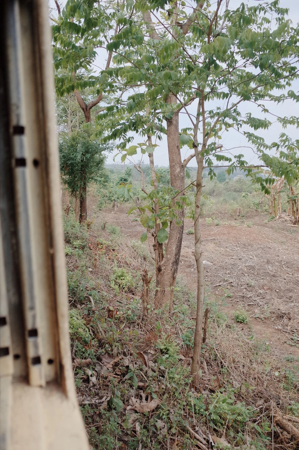 23737937556D7EA706C1FD