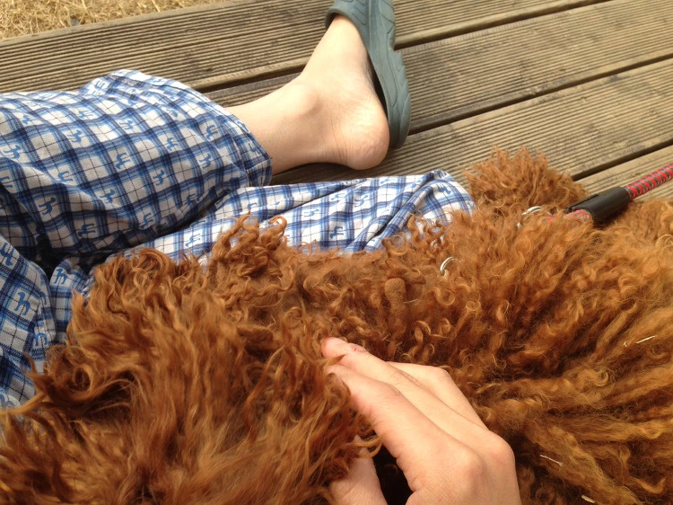 21109F50530B10BC151F2E