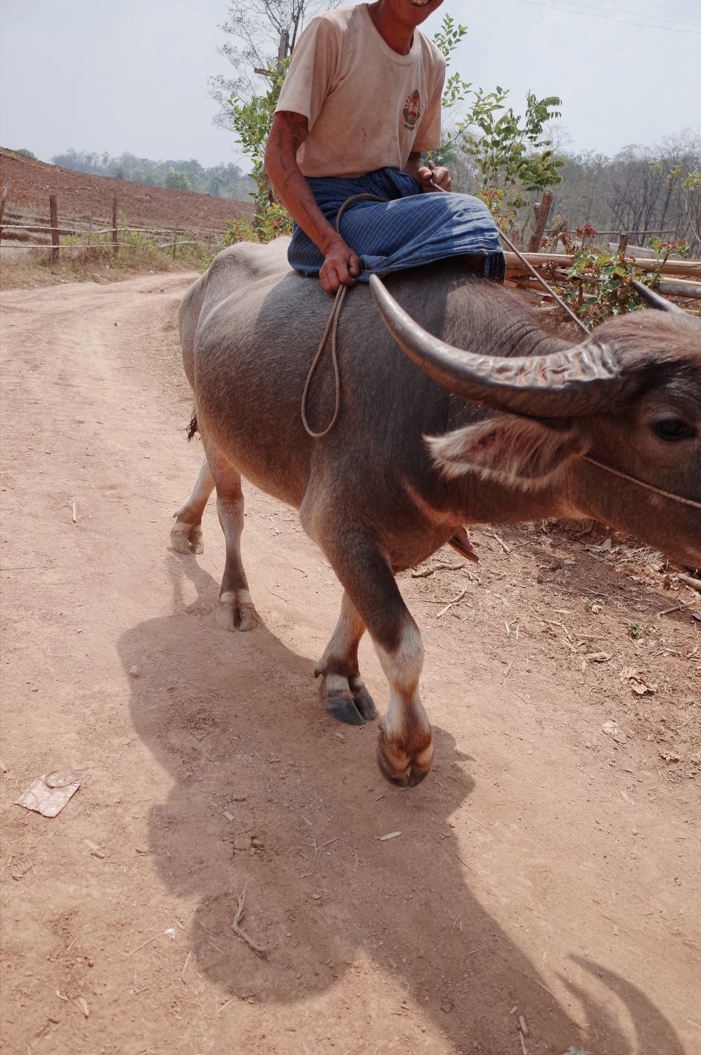 25599D42556BD53C20E0DB