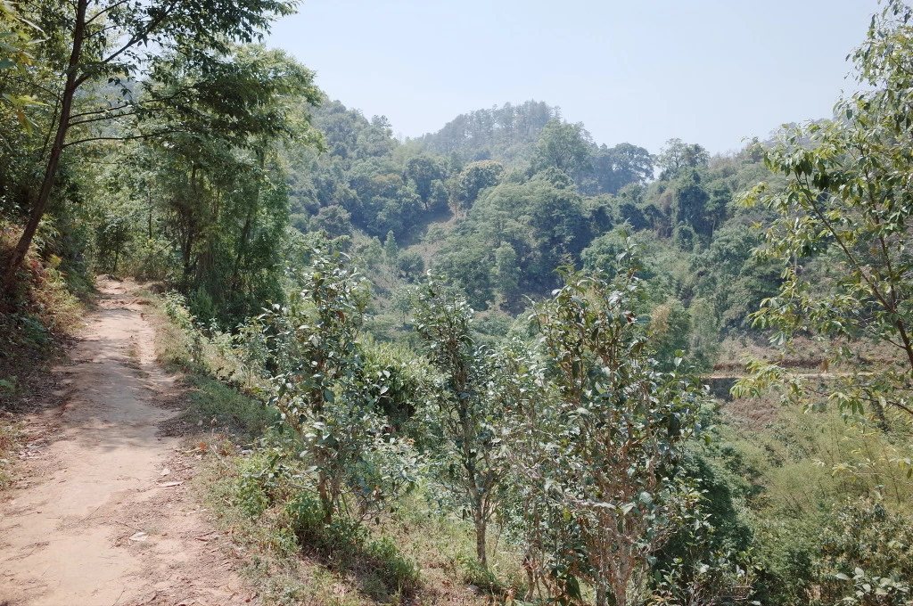 24377E37556BC66A10C416