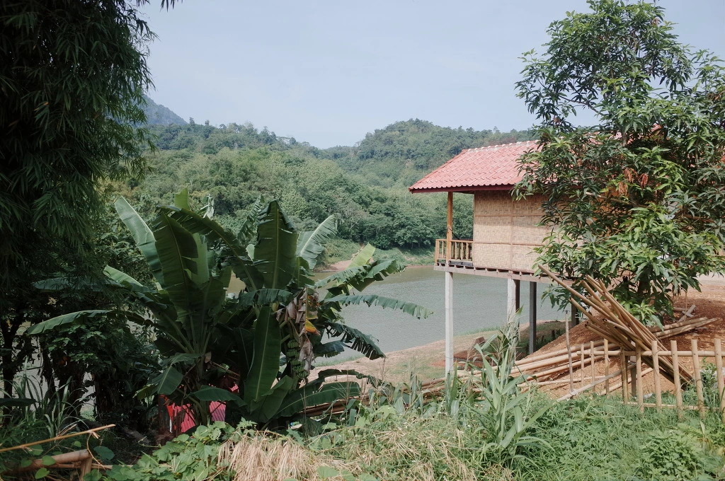 2439C738556B23E206D230