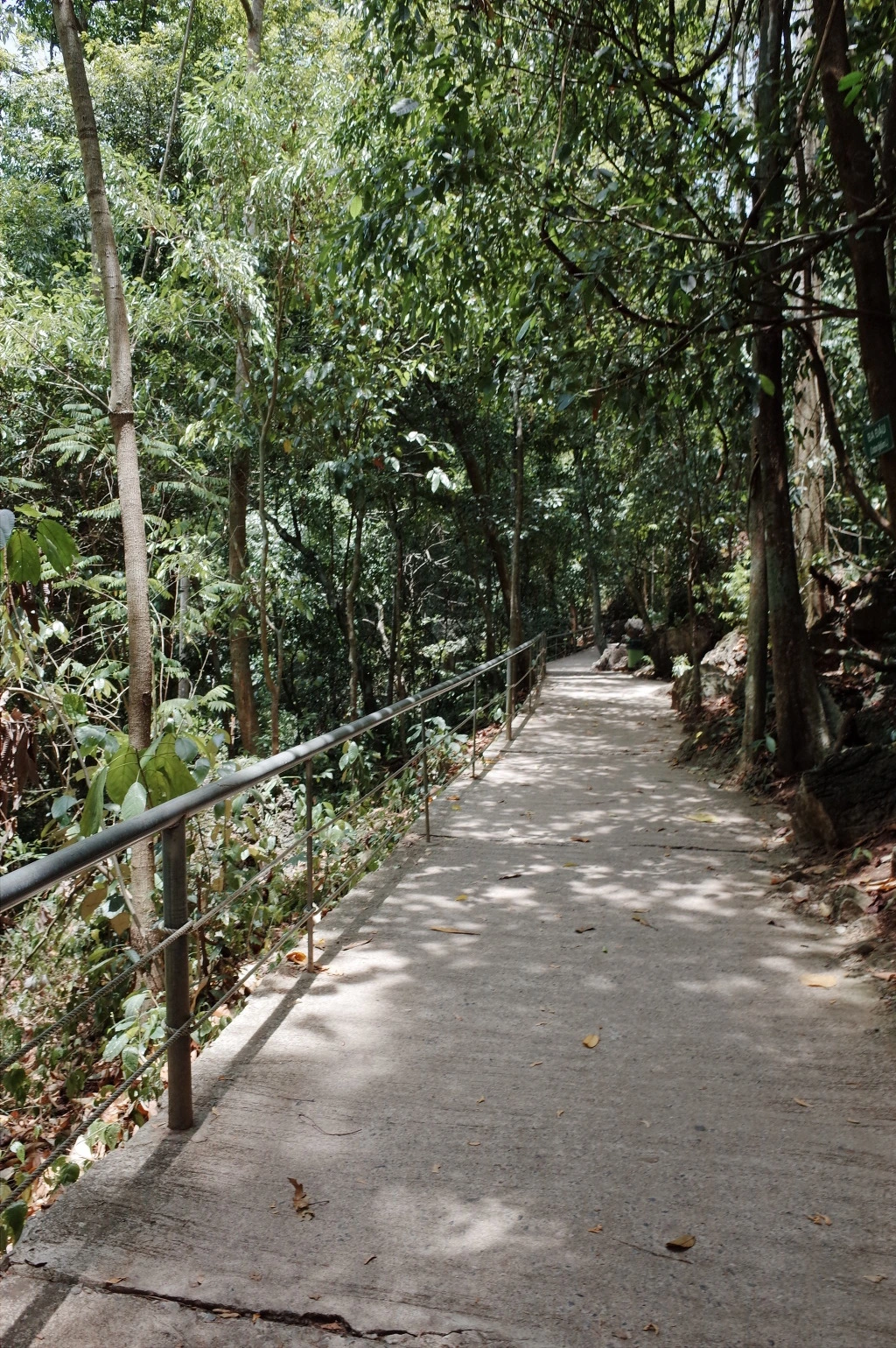 227F0433557EC9C937F285