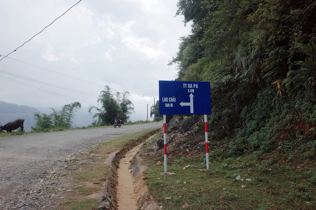 222C6D3D557467AC0A7B2D