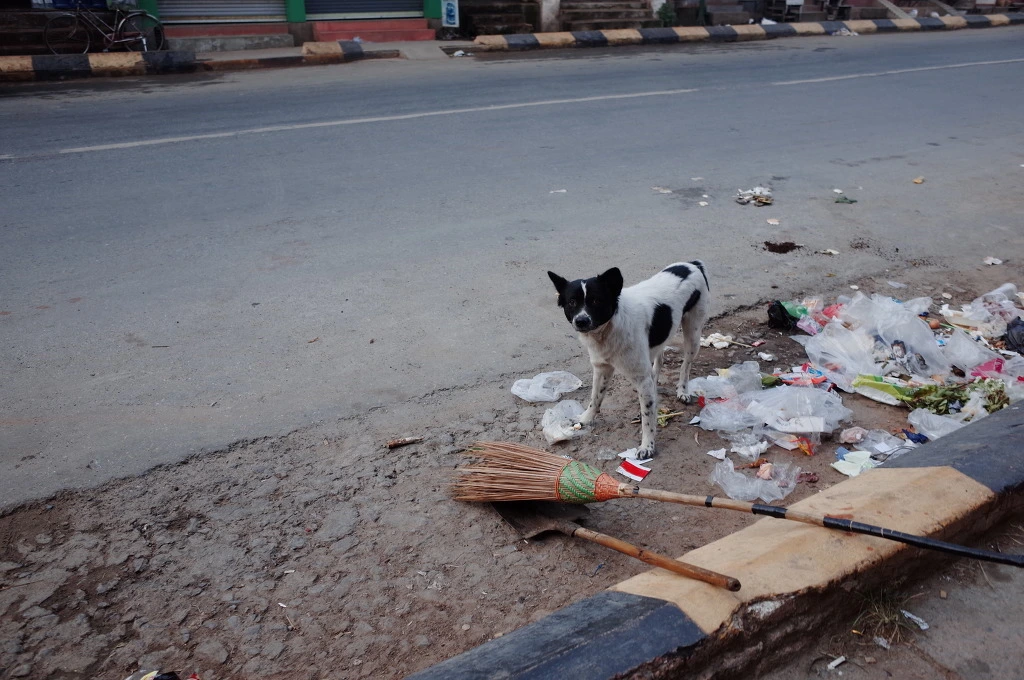 231F293D556D88271B89CC