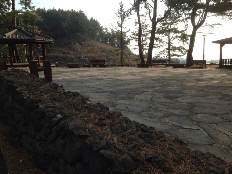 255BEC50530C3529224A1D