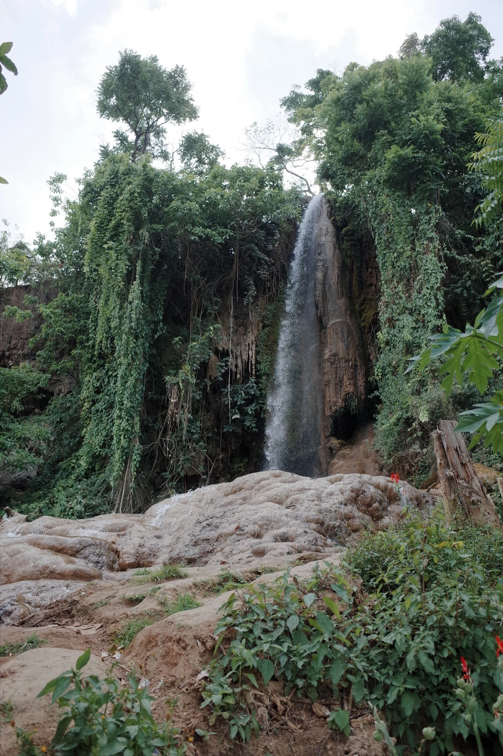 2451FF42556BD57225F3F6