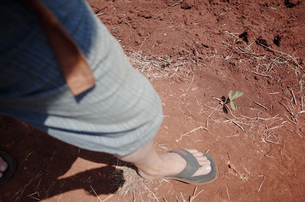 271D1735556BD474160BDA