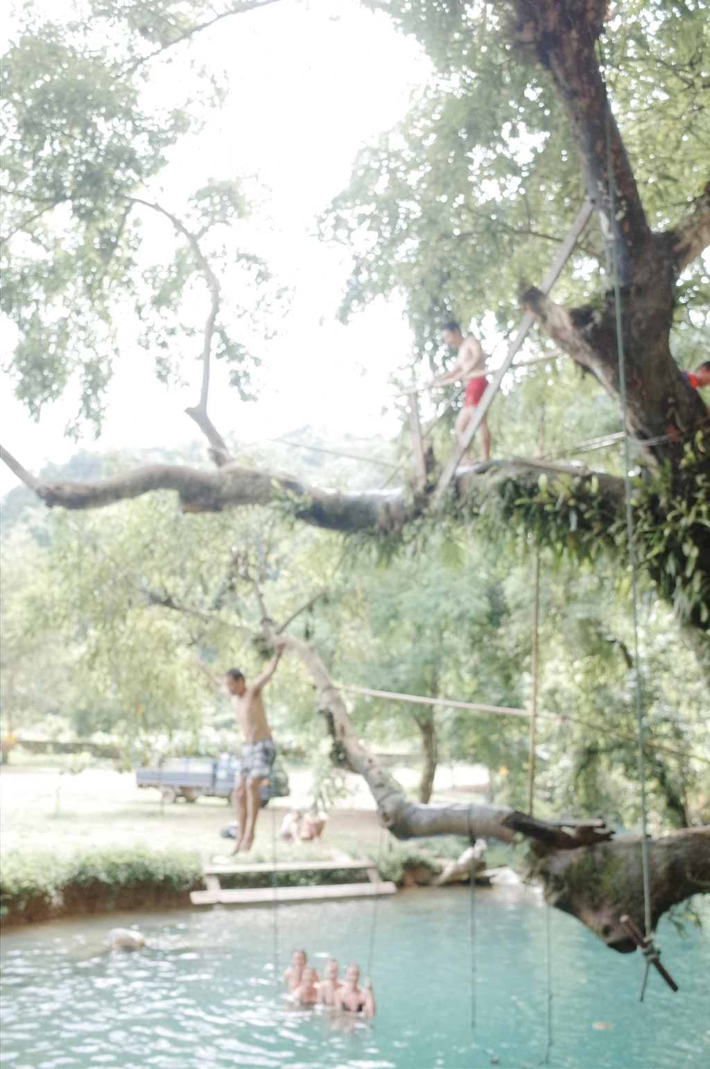 266202365565D73B2F3E66