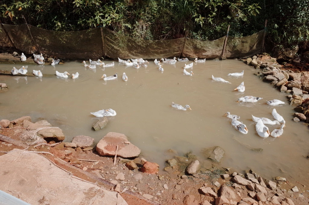 2557E845557467070610A4