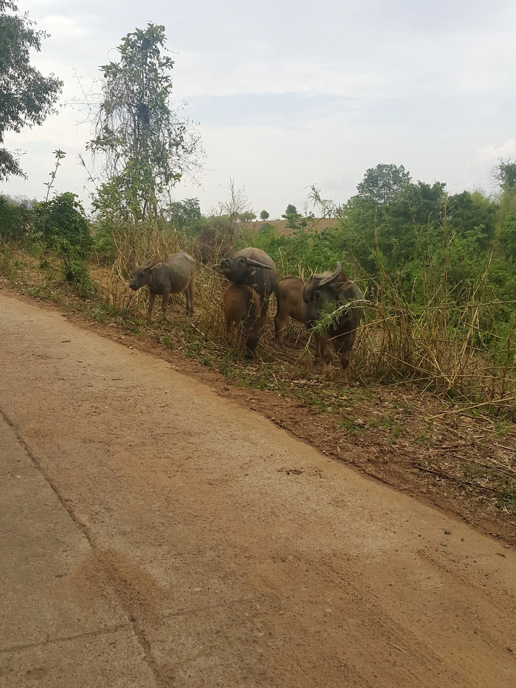 251E3E33553A5CEF1A9491