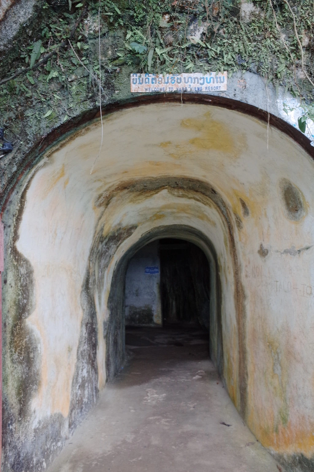 243FCD405565D53F2B2E55