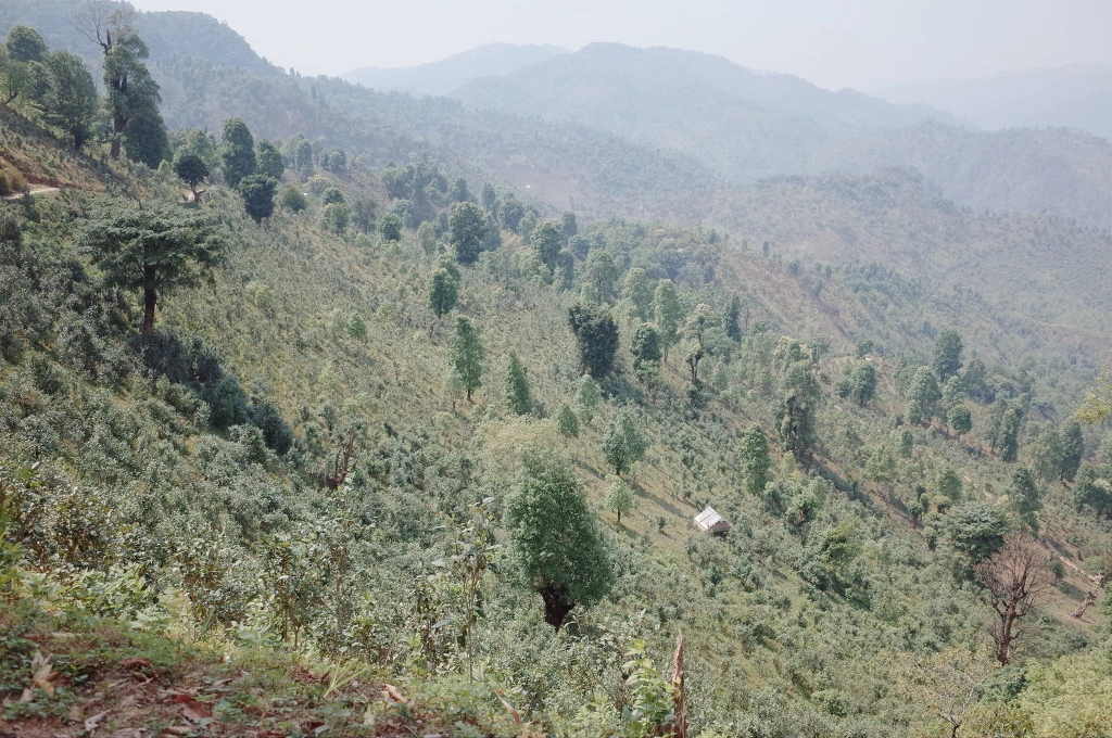 2632F536556BC69B065941