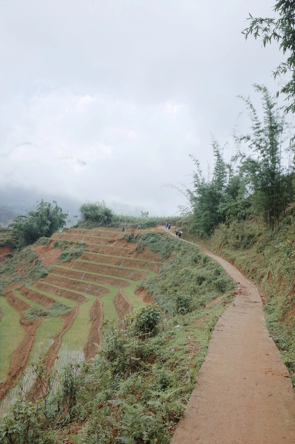 22768433557466261731B5