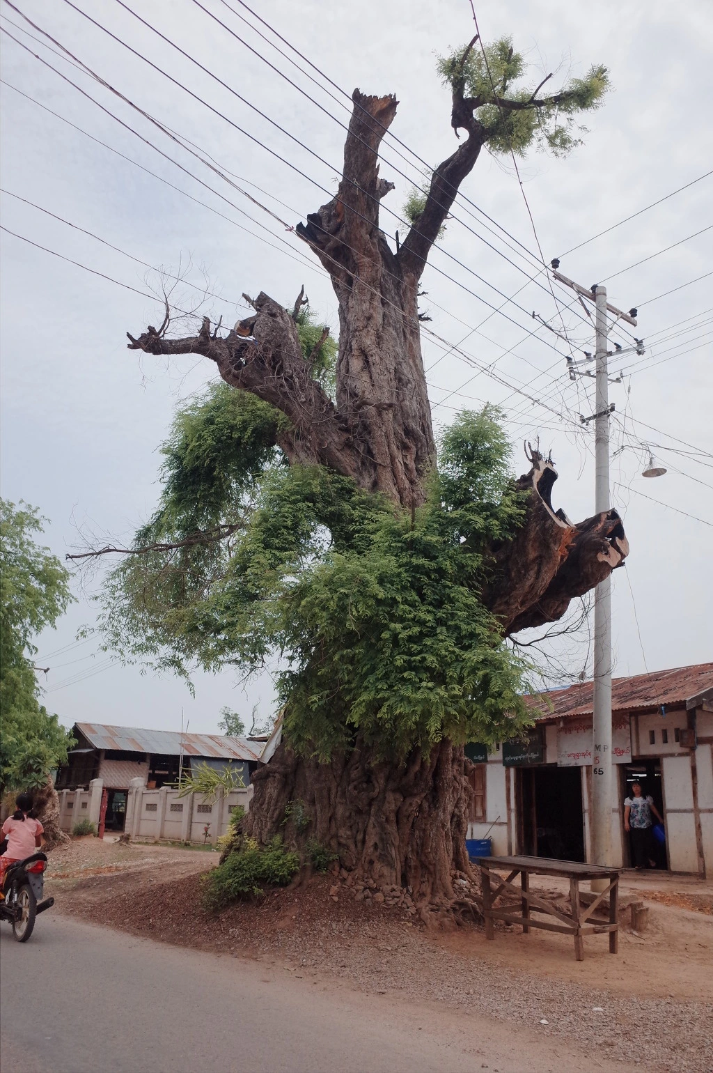 25480D44556CF6DD21DFFA