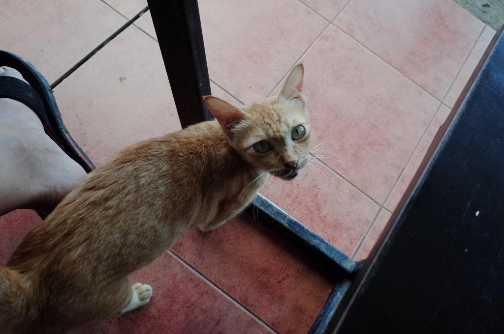 251A273A5565D42C324446