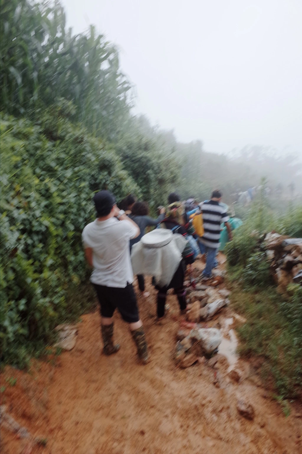 217A9736557462F421D09E