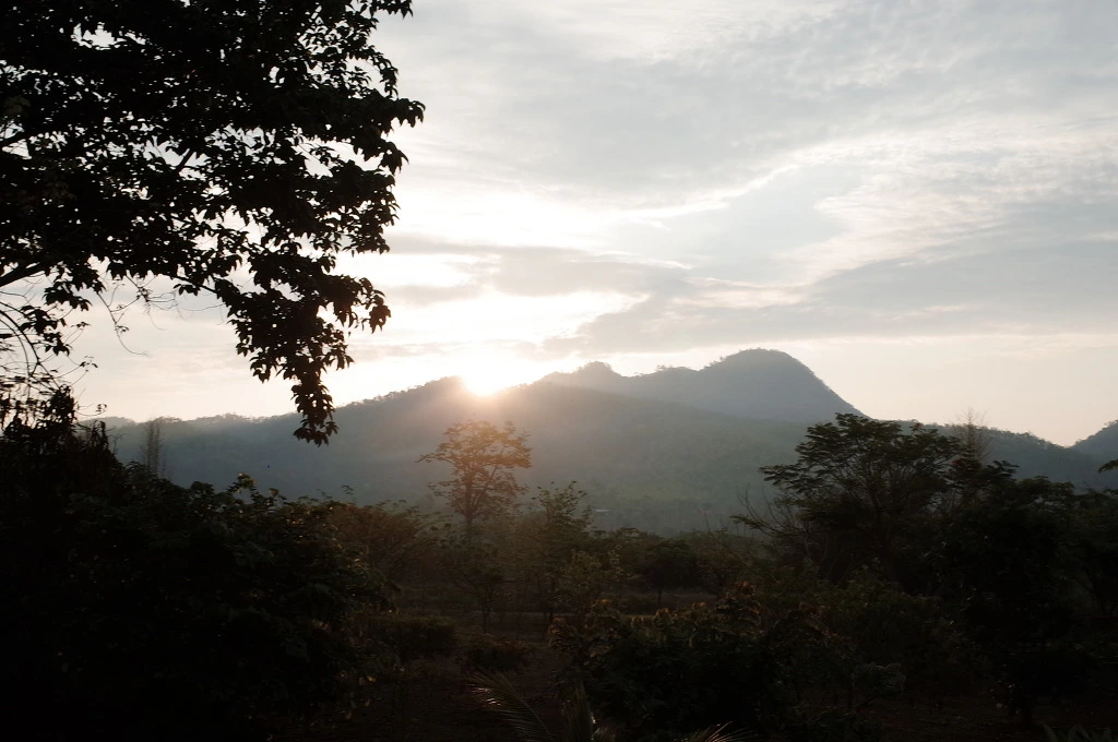 275EB835553C5CFB2B976E