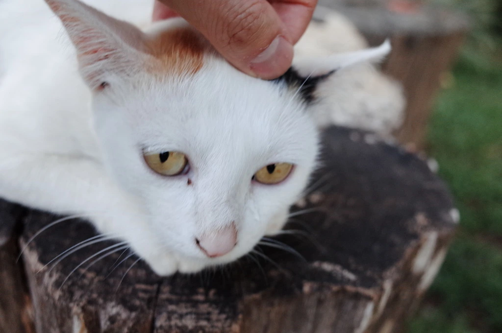 237C5839553C6127125C39