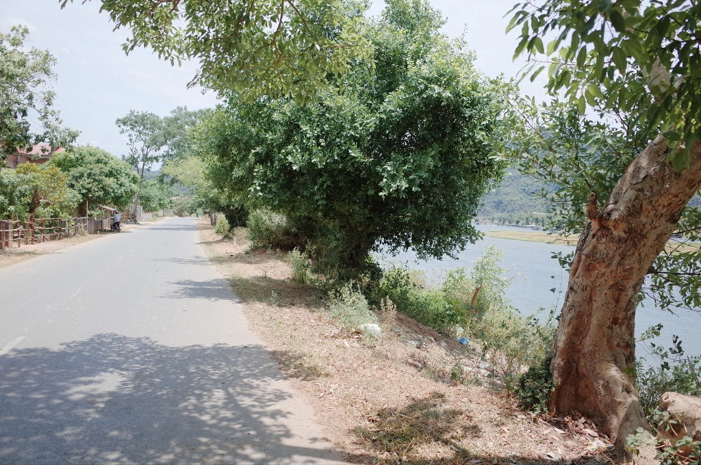 26686842557CE963213033