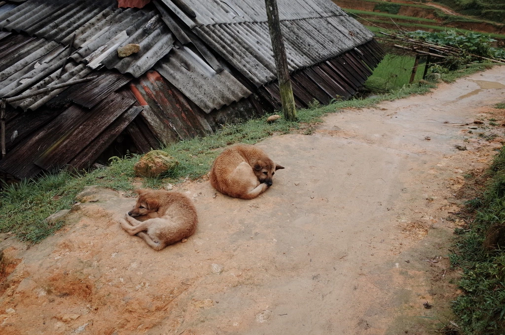 251B0F3C557464880FCB18