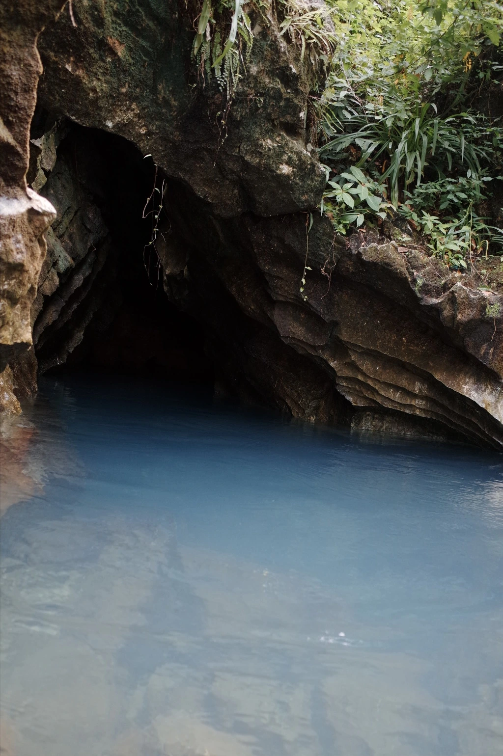 25611F415565D65B24F520