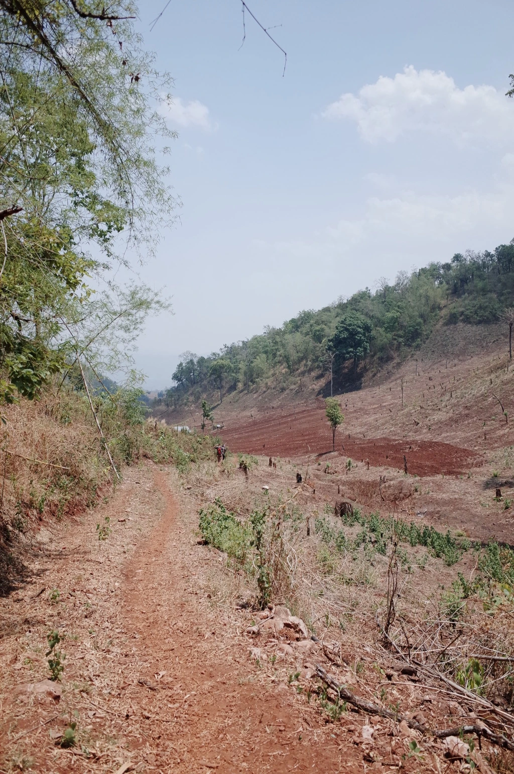 22486541556BD4850220E0