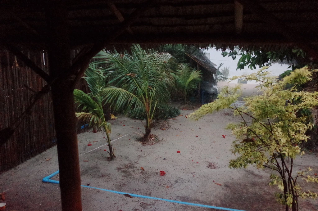 2234CB3E555DFE45091A48