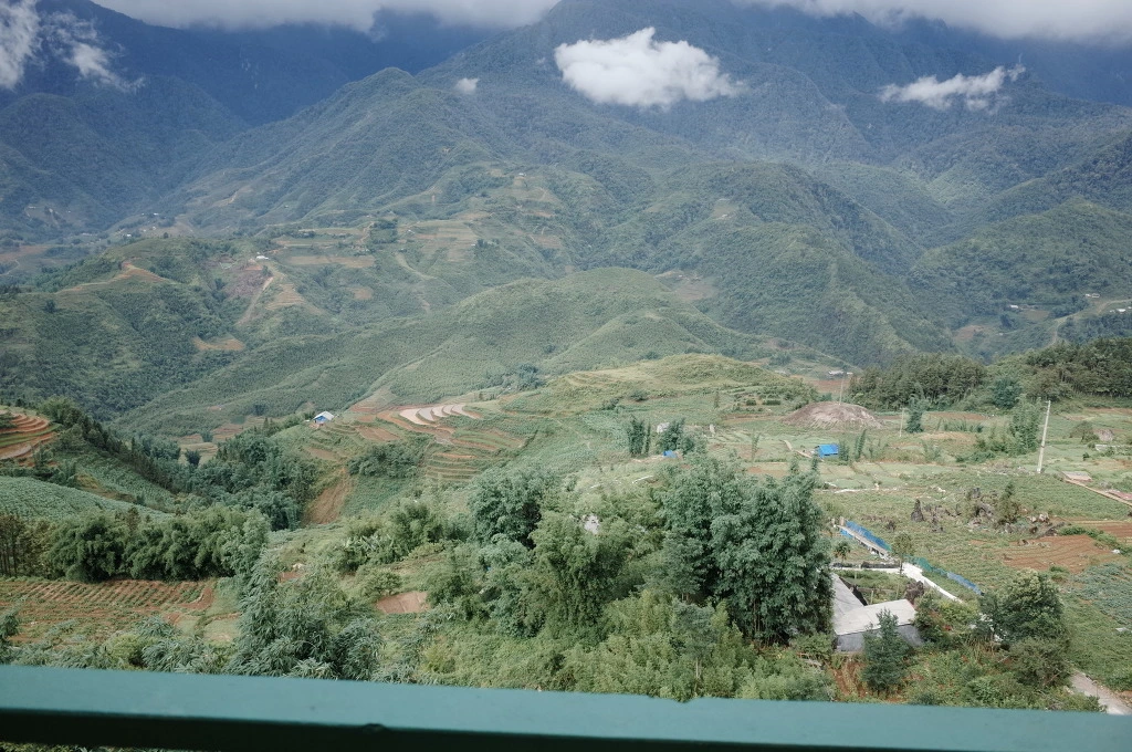 245D8733557672DC3BDB82