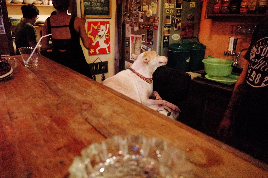 2505FB46555E1664211680