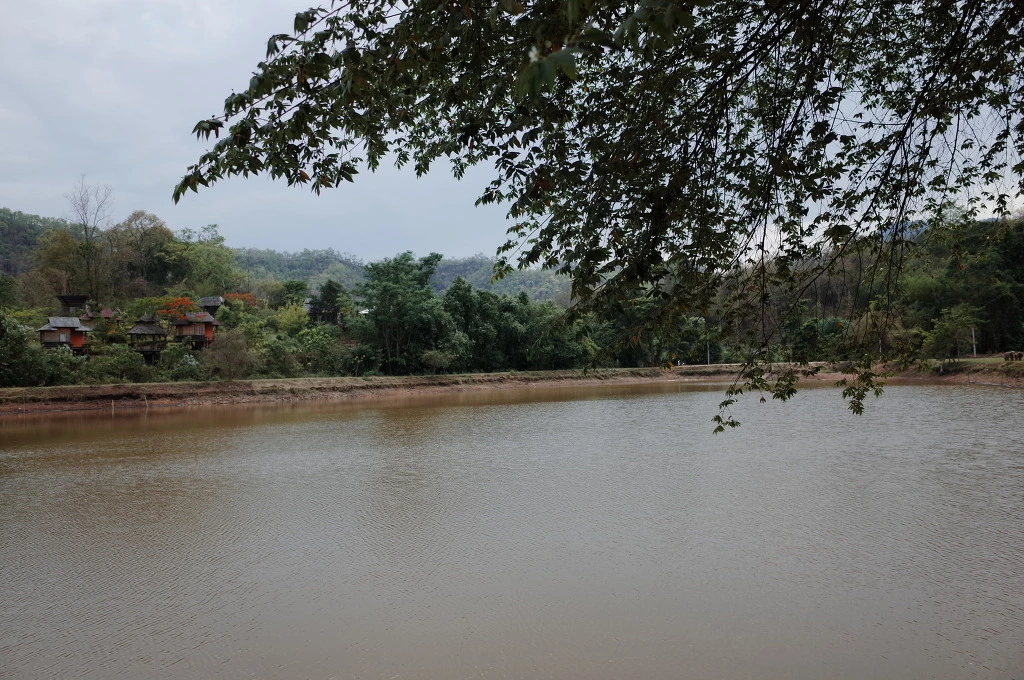 234EE045553A5E8E224E1D