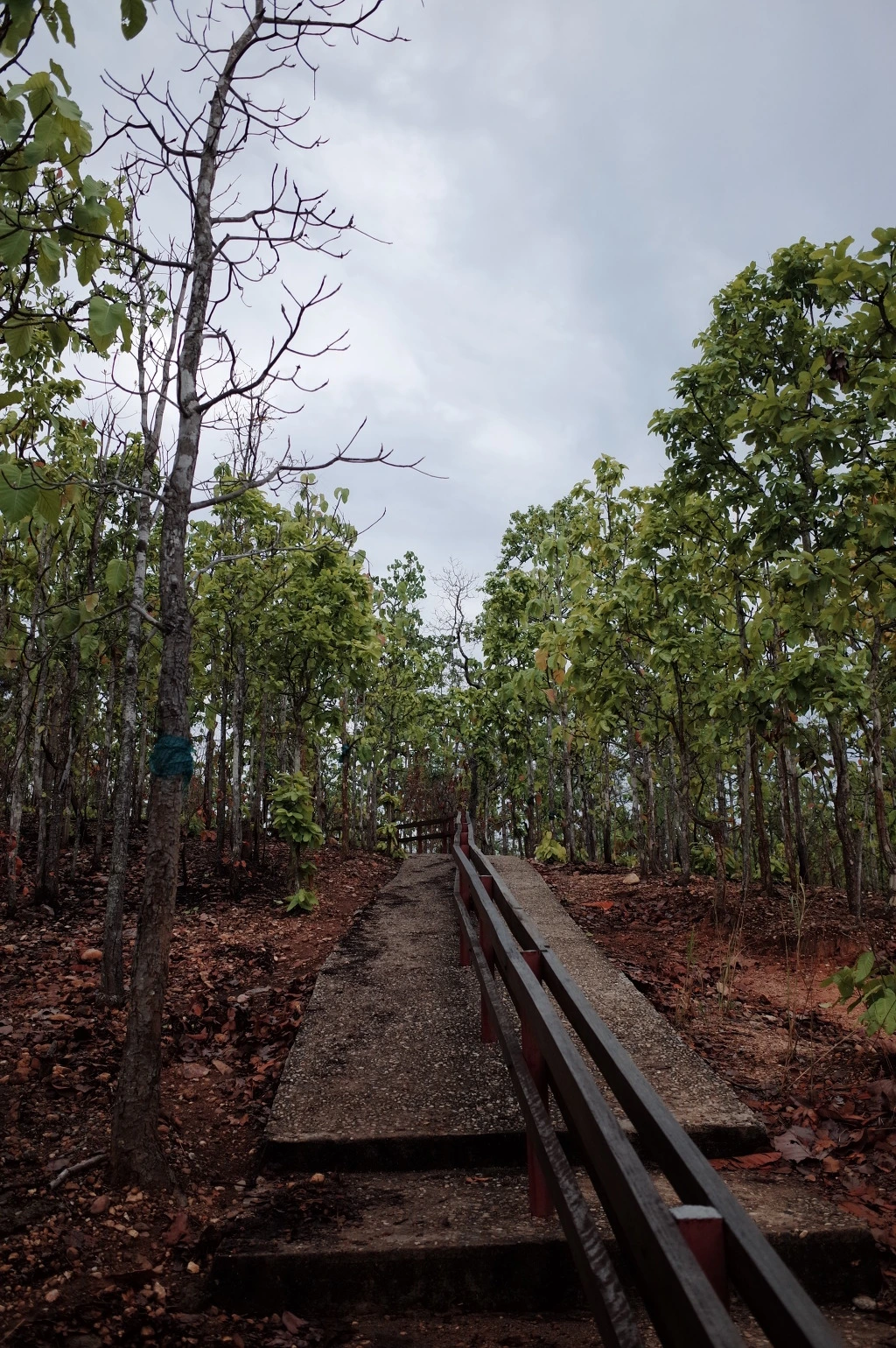 2535CA43553A5EC3031F58