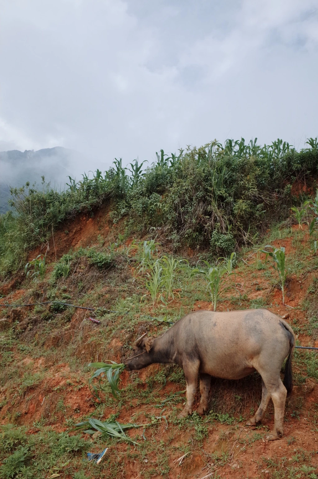 2619FF3D5574678E165D5B