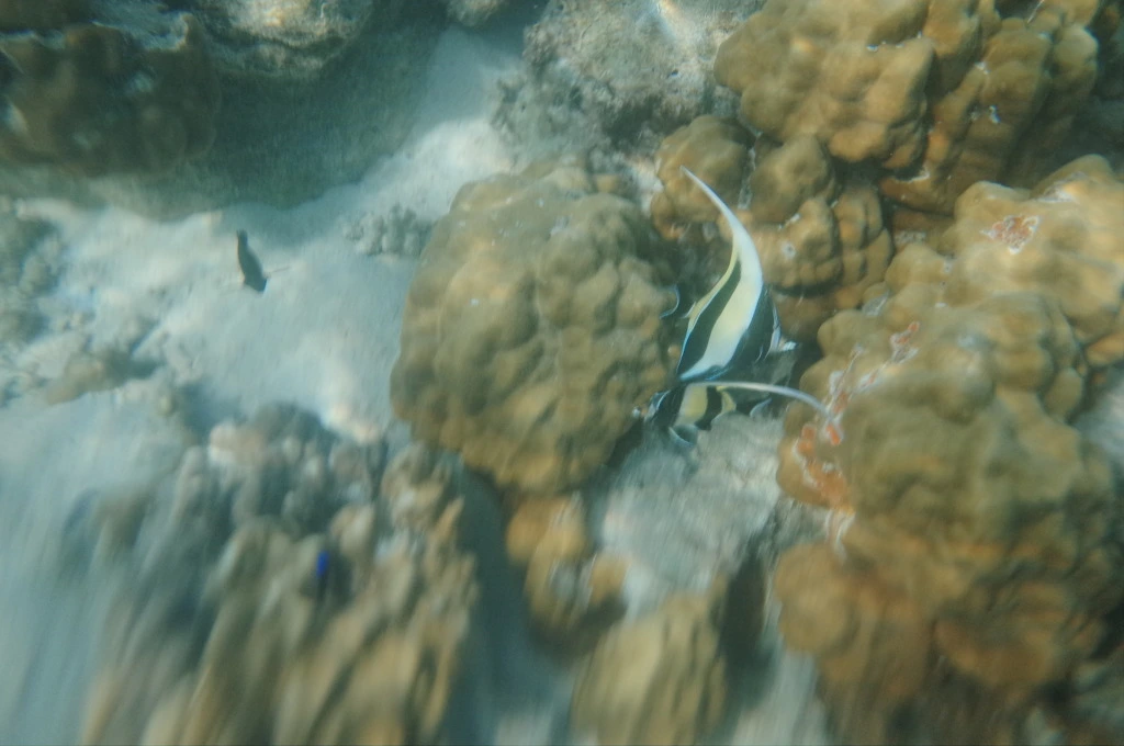 210D7633555EB4B62C5EC4