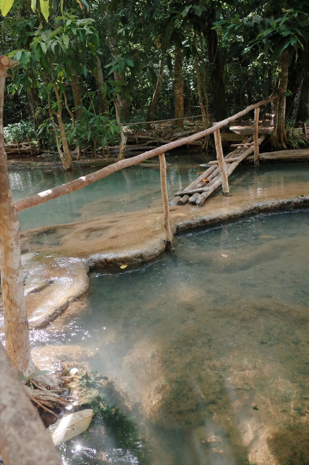 223B973D556A5694397AA1