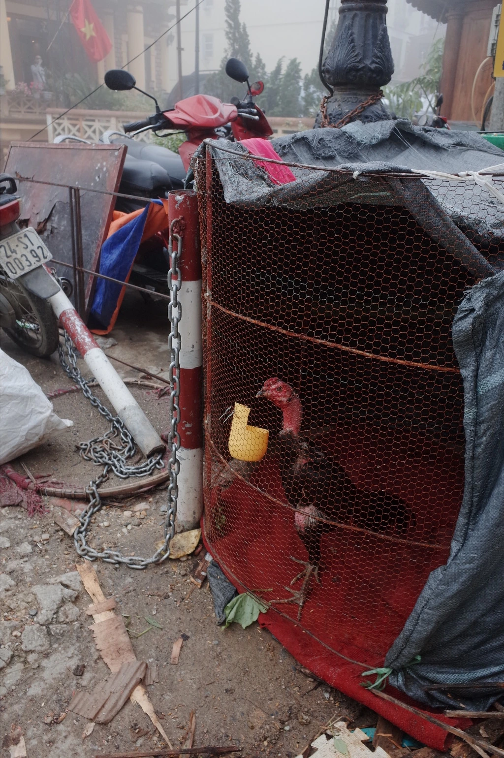 256A99375574625714114E