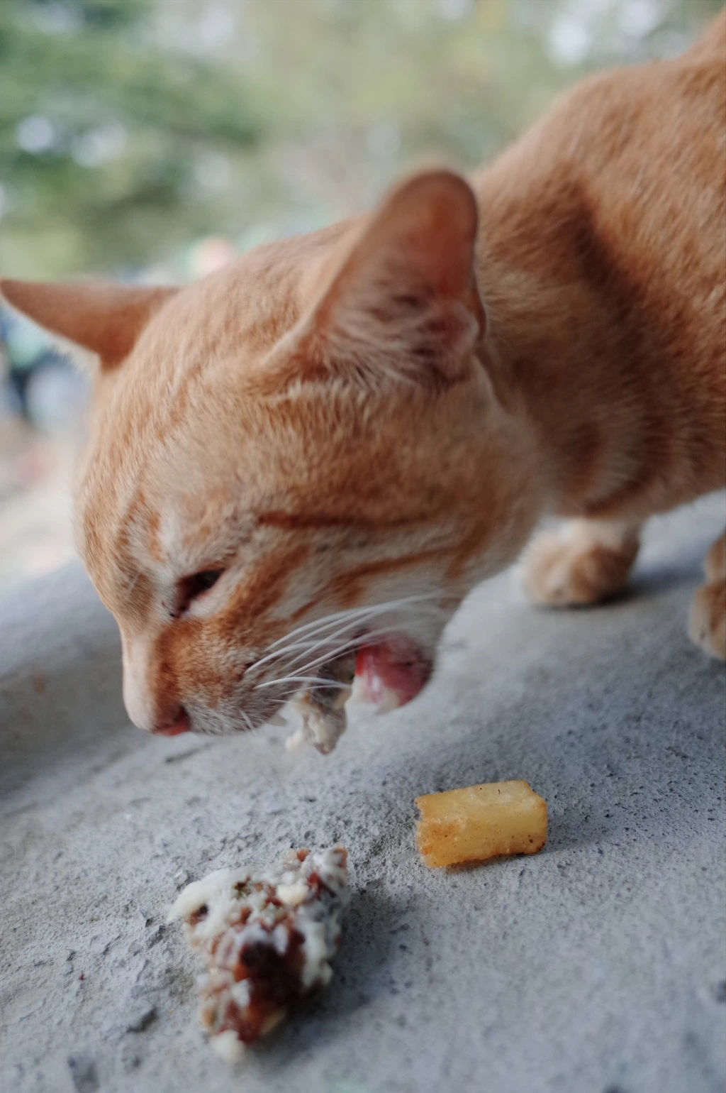 255129355551D95B0B5584