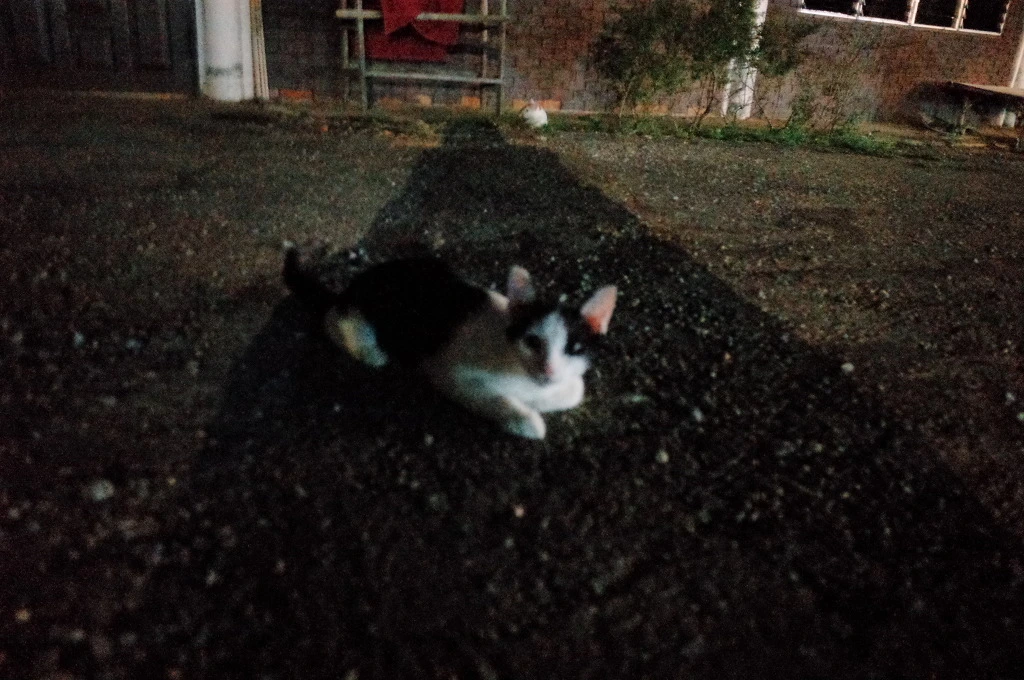 21608346553C613B0DF5B0