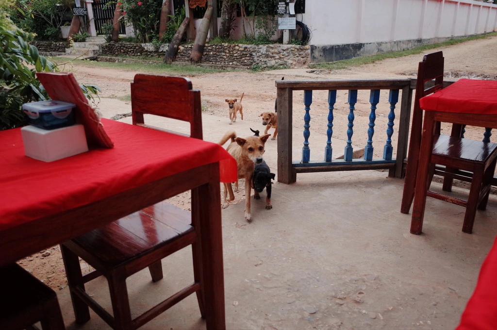 270E653F556C73FB15ECAE