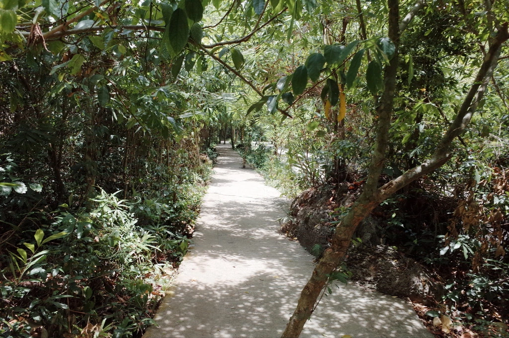 2405563E557EC96B0F24CE