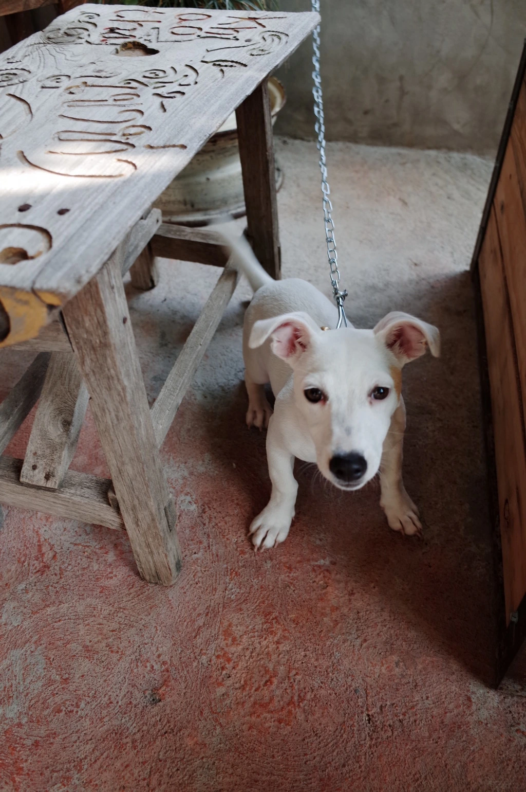 273C5D44553C5E31124D36