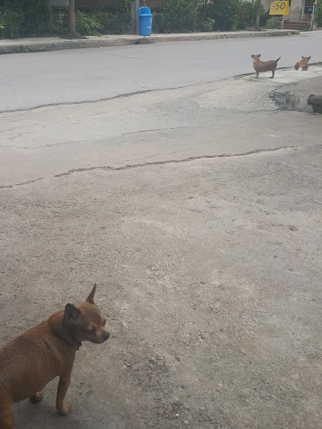 246E7A40553C5F262E9EF1