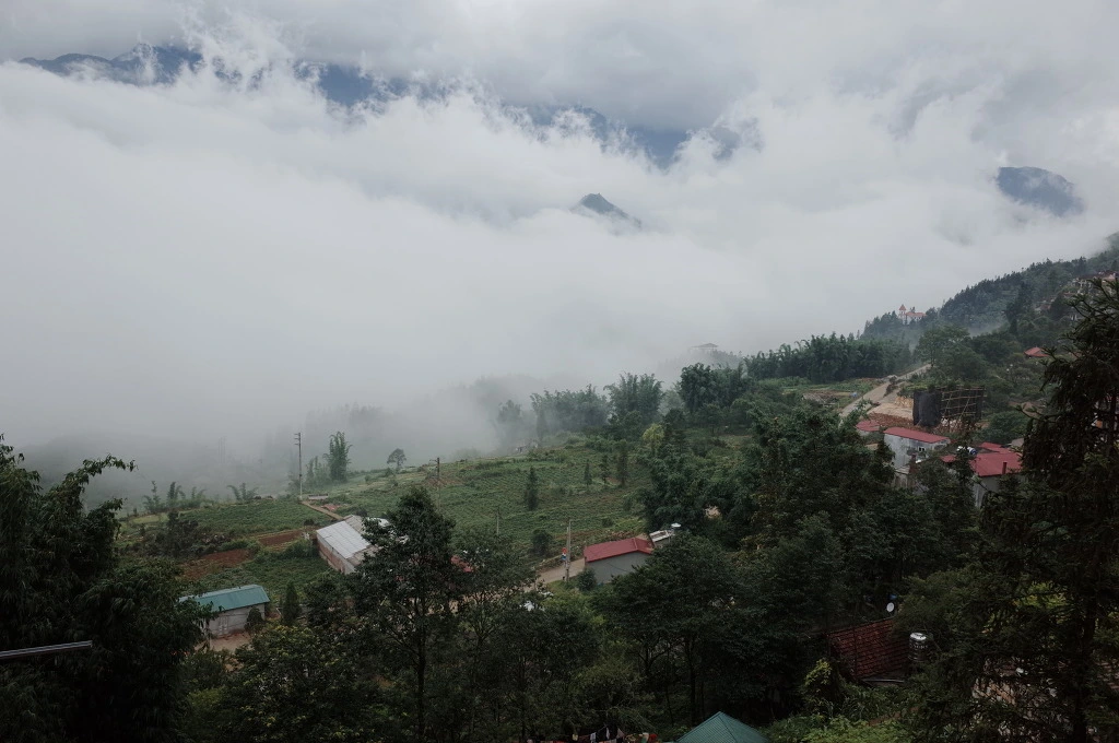 2644903A557461E83F9F99