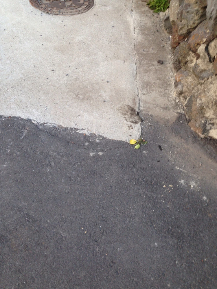 21609150530C35D424C786