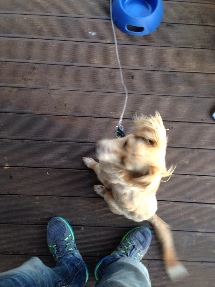 225037445524F647096D04