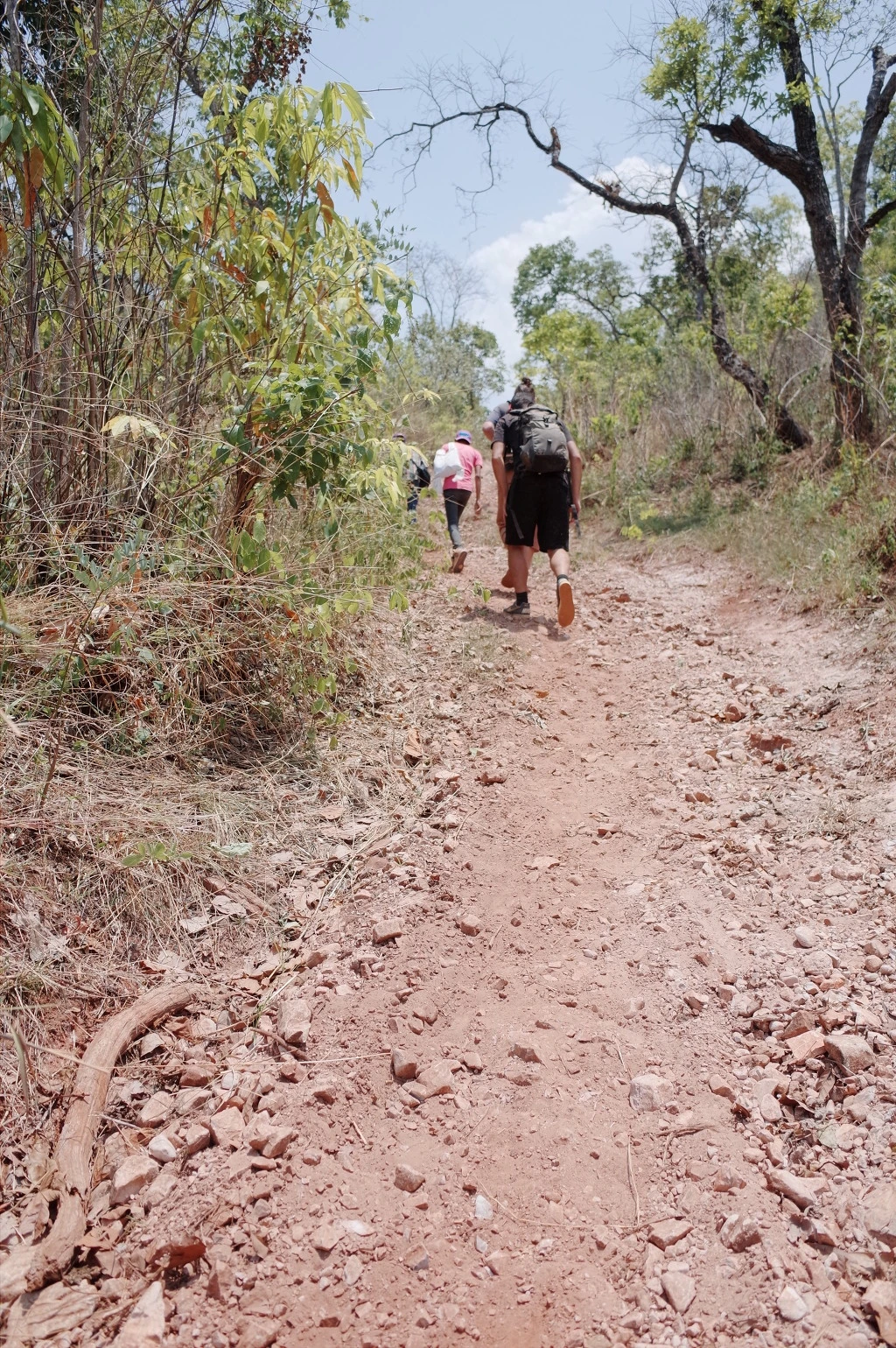 2277E73A556BD46316A6F6